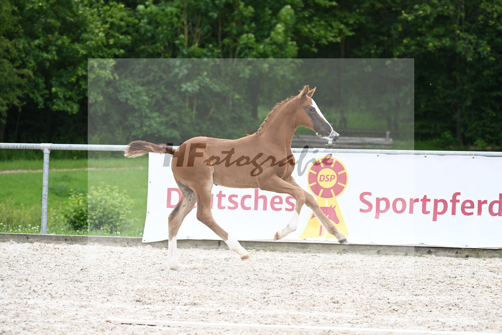 Va Bene x Fuersten Look_HF_Mueller_20240580 | hf-fotografie - Realizzato con Pictrs.com