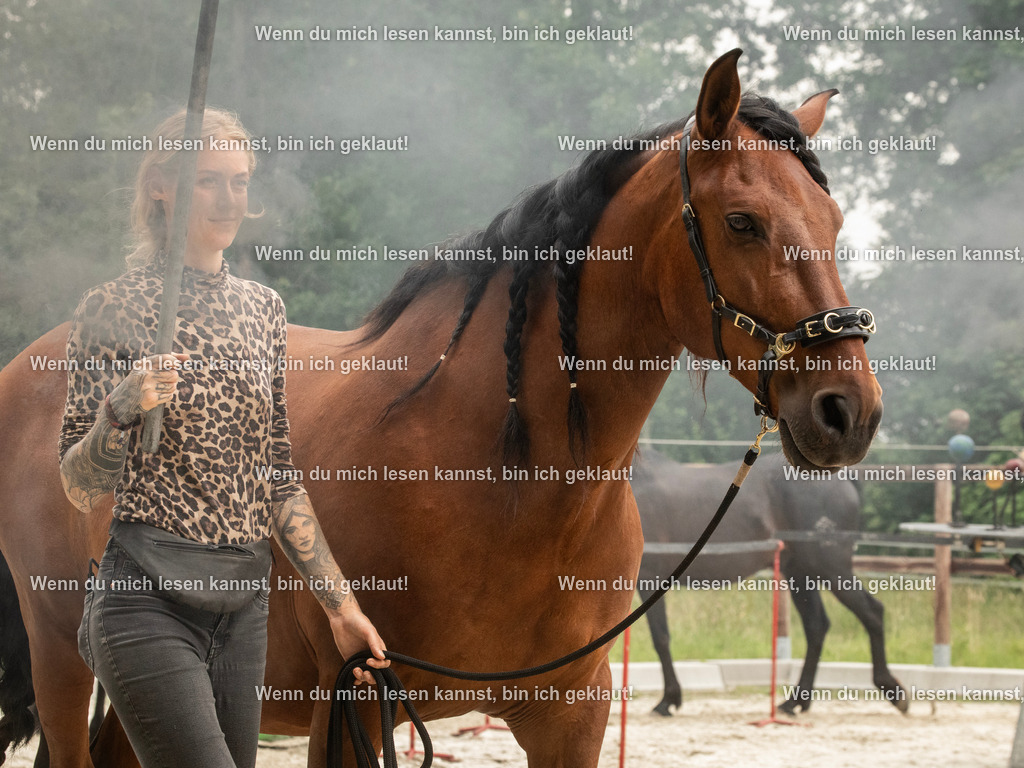 598A8065 | photographylinaismer - Realisiert mit Pictrs.com