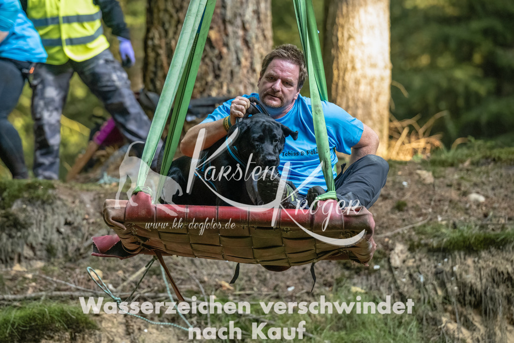 0929_ZZ91018-Bearbeitet | kk-dogfotos