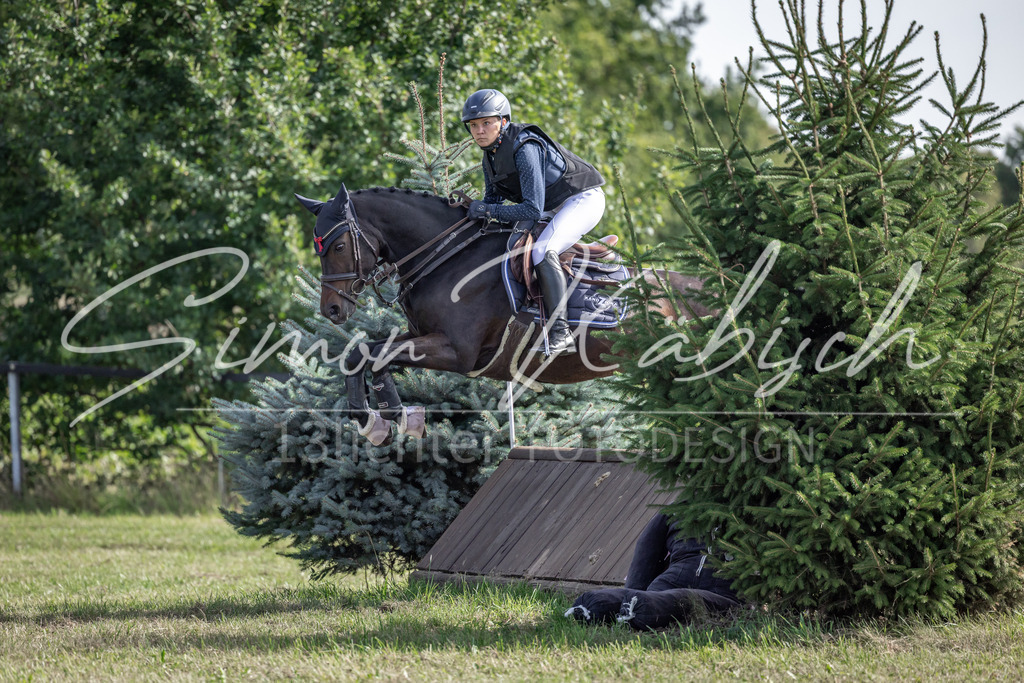 20250907-_3LI9689 | Tierfotografie Pferde, Hunde, Katzen, Haustiere.
Turnierfotografie Reitturniere, Reiten, Springreiten, Dressur in Hanau, dem Main-Kinzig-Kreis und dem Rhein-Main- Gebiet um Frankfurt