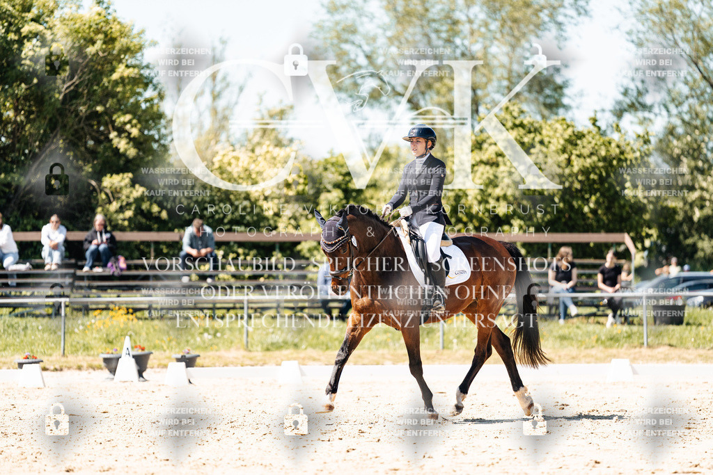 CK905605 | Turnierfotografie Pferdefotografie Trier Rheinland-Pfalz Pferdesport Reitsport Tierfotografie Sportfotografie Pferdevideo Pferdevideografie Equestrianvideography equestrianphotography  - Realisiert mit Pictrs.com