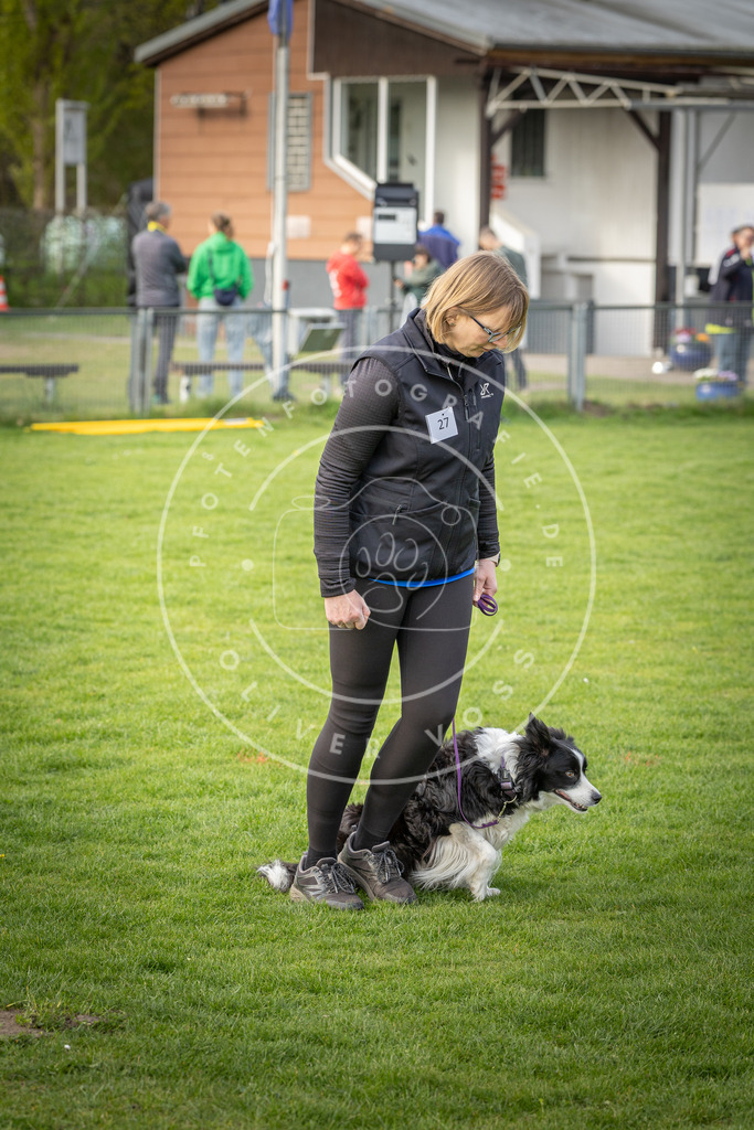 Pfotenfotografie_DV3A4870 | Hundefotografie, Tierfotograf, Pfotenfotografie, Fotoshooting Hund, Hunde Portrait, Hundesport, Hundeportraits, Heideshooting, Hunde, Sportfotograf, Hundefotograf, Turnierhundsport, THS,  - Realisiert mit Pictrs.com
