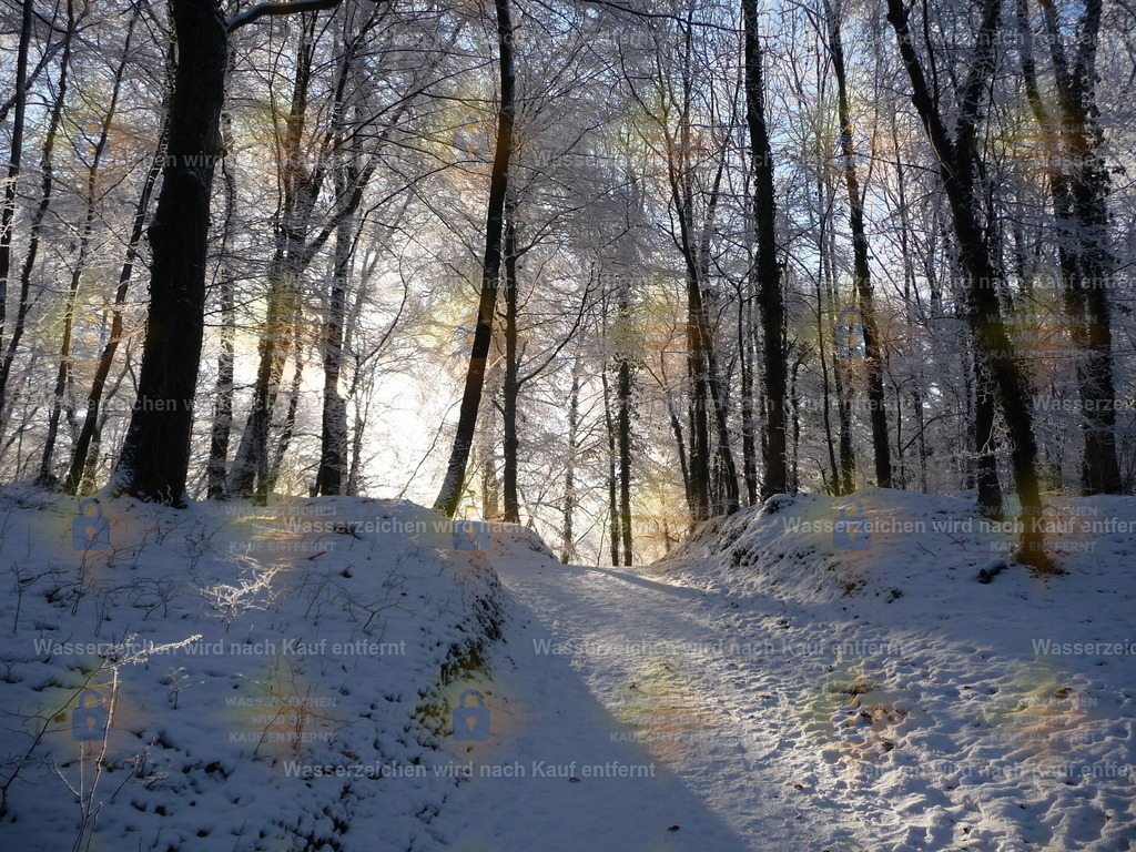 P1000217 | Fotoseite Wolkenblende - Das Hobby fotografieren begleitet mich schon  viele  Jahre. Auf den nächsten Seiten zeige ich ein paar Schnappschüsse der letzten Jahre und es kommen immer neue hinzu. Schau einfach mal rein. - Realisiert mit Pictrs.com