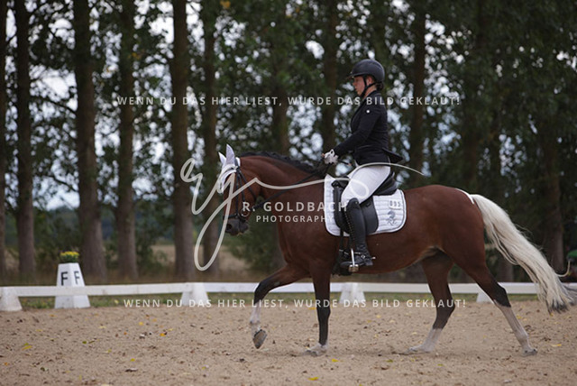 1J2A1029Charlotte Fehr_ Ikon 16_ Kn061_ Wöpkendorf_ Annalena Beier_ Quinn M_ Kn095 | Foto- und Videografie für alles rund ums Pferd. Hochwertige Bilder und Videos vom Spring- und Dressurreiten, Voltigieren & mehr. Jetzt aktuelle Veranstaltungen und Preise im Shop ansehen. - Realisiert mit Pictrs.com