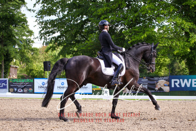 DKP41530 | Deine Turnierfotos vom Reitturnier online kaufen: Dressur, Springen & Siegerehrung. Professionelle Pferdefotografie aus dem Rheinland – als Download & Print.Alternative: Turnierfotograf für den Pferdesport: Finde deine Fotos von Dressur- und Springturnier