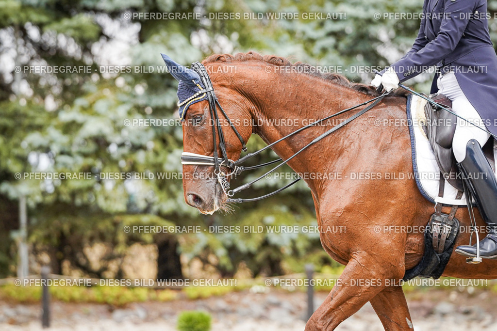 DSC05914 | Pferdegrafie