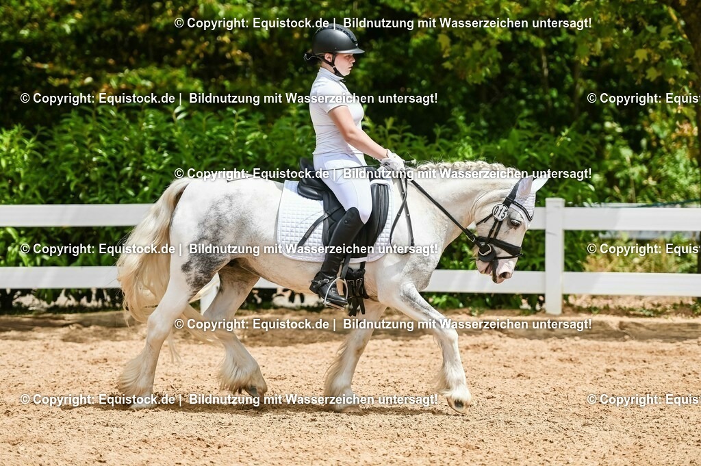 20230715_05_Dressurprüfung Kl.A++_0261 | equistock
