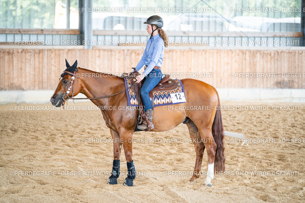 DSC03042 | Pferdegrafie