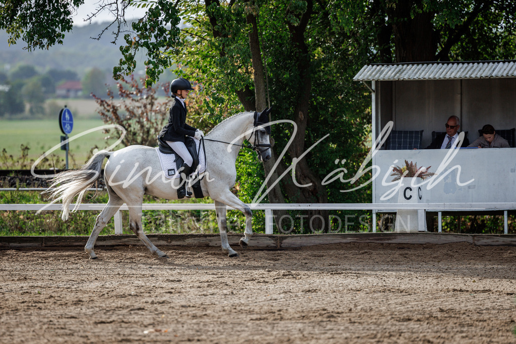 20260905-_3LI6907 | Tierfotografie Pferde, Hunde, Katzen, Haustiere.
Turnierfotografie Reitturniere, Reiten, Springreiten, Dressur in Hanau, dem Main-Kinzig-Kreis und dem Rhein-Main- Gebiet um Frankfurt