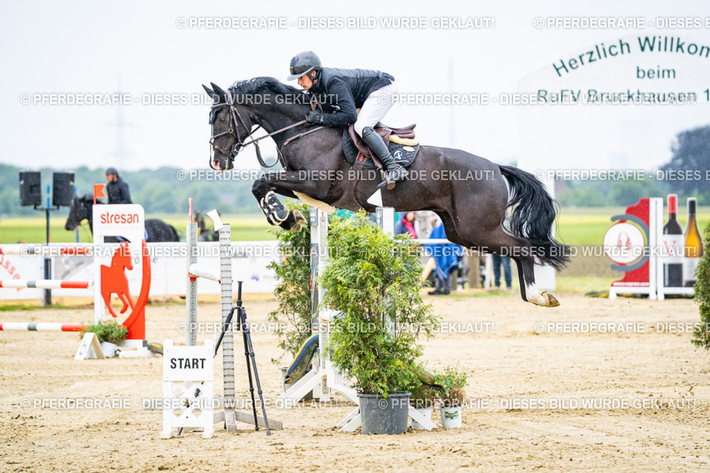 DSC07988 | Pferdegrafie