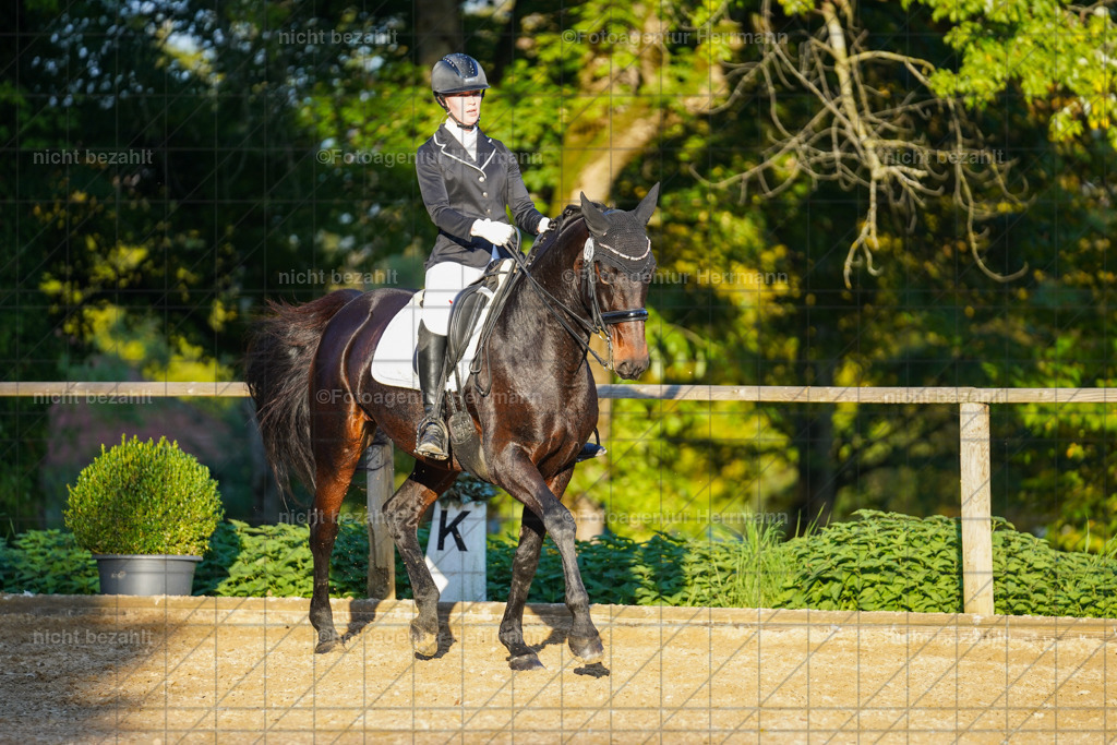 20221007-FAH00438 | Diessen am Ammersee, 2022, Dressur- und Springturnier, Reitsportbilder, Turnierfotografen Bayern, Pferdefotografen, Fotoagentur Herrmann, Turnierbilder