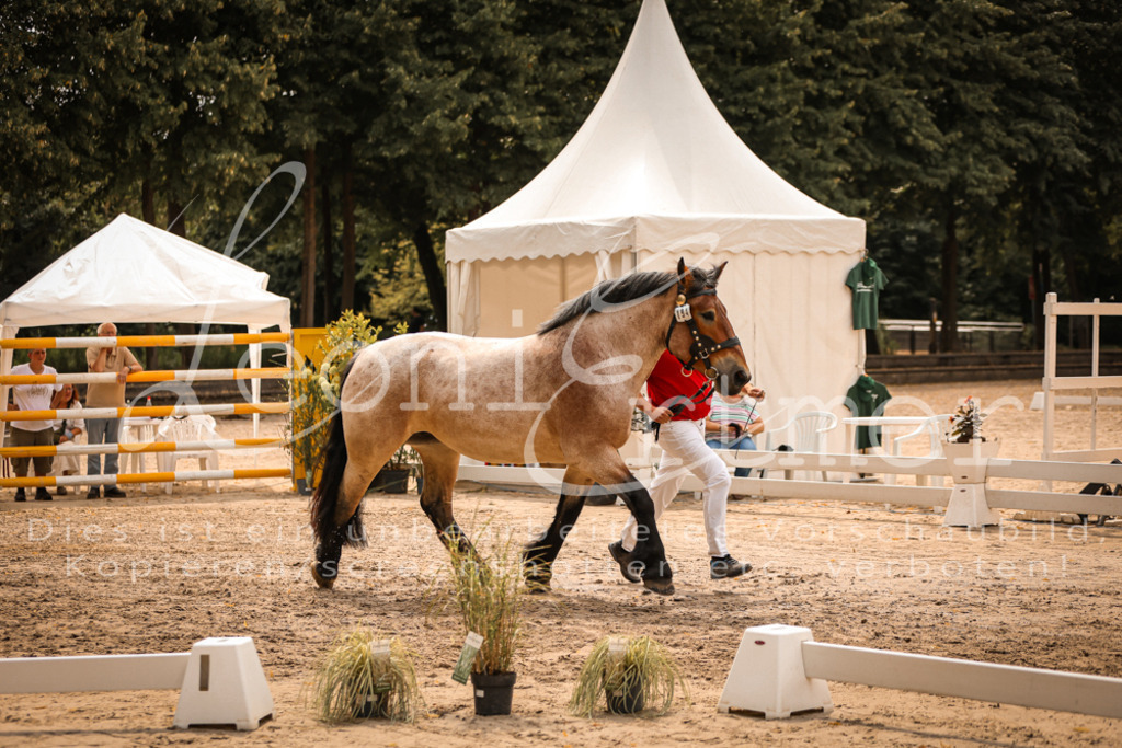 3.Sa00078 | Leoni Ertmer Photography - Realisiert mit Pictrs.com