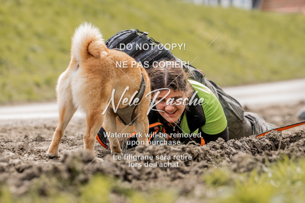 6Z1A2098 | nelerasche