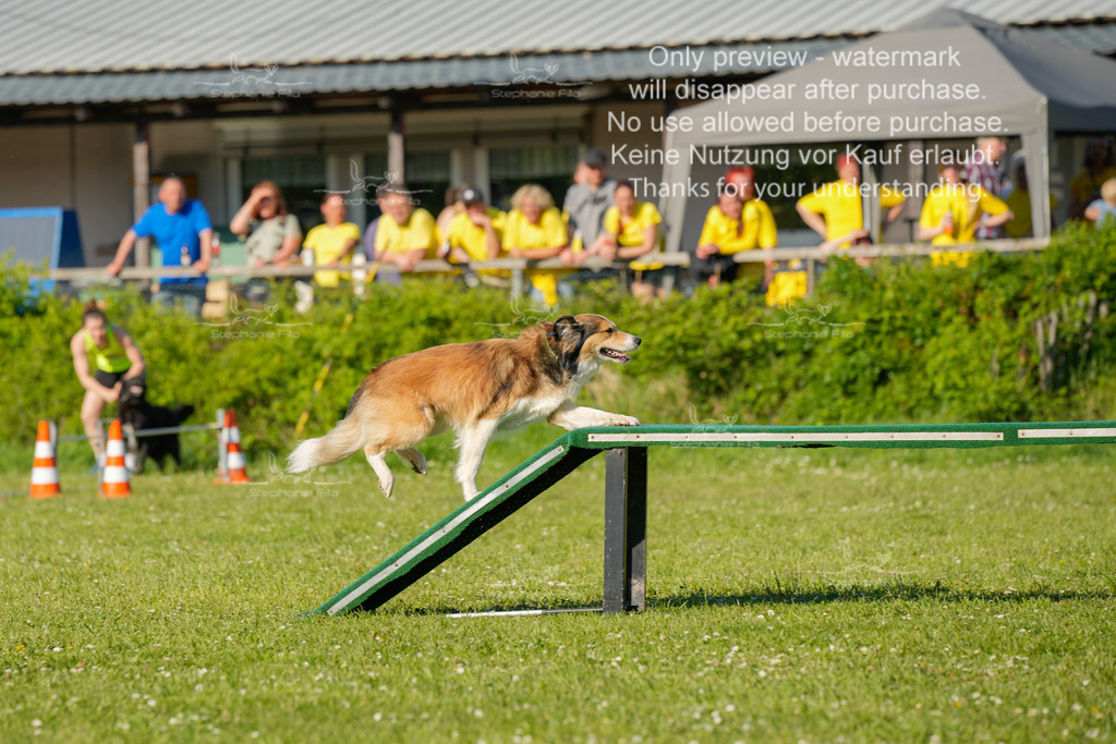 Sa_CSC-581 | stephaniefillaphotographie - Realisiert mit Pictrs.com