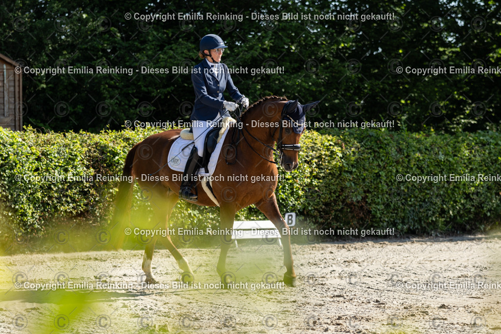 CL5A6931 | Emilia Reinking Fotografie - Realisiert mit Pictrs.com