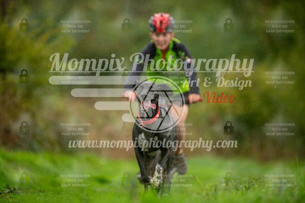 TSB_2023_E6_Bike-45 | PayLife