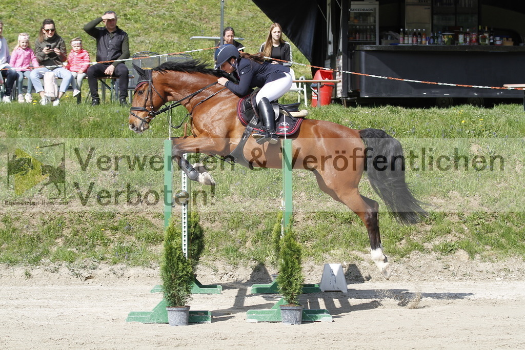 _MG_9179 | equestrian-live-com