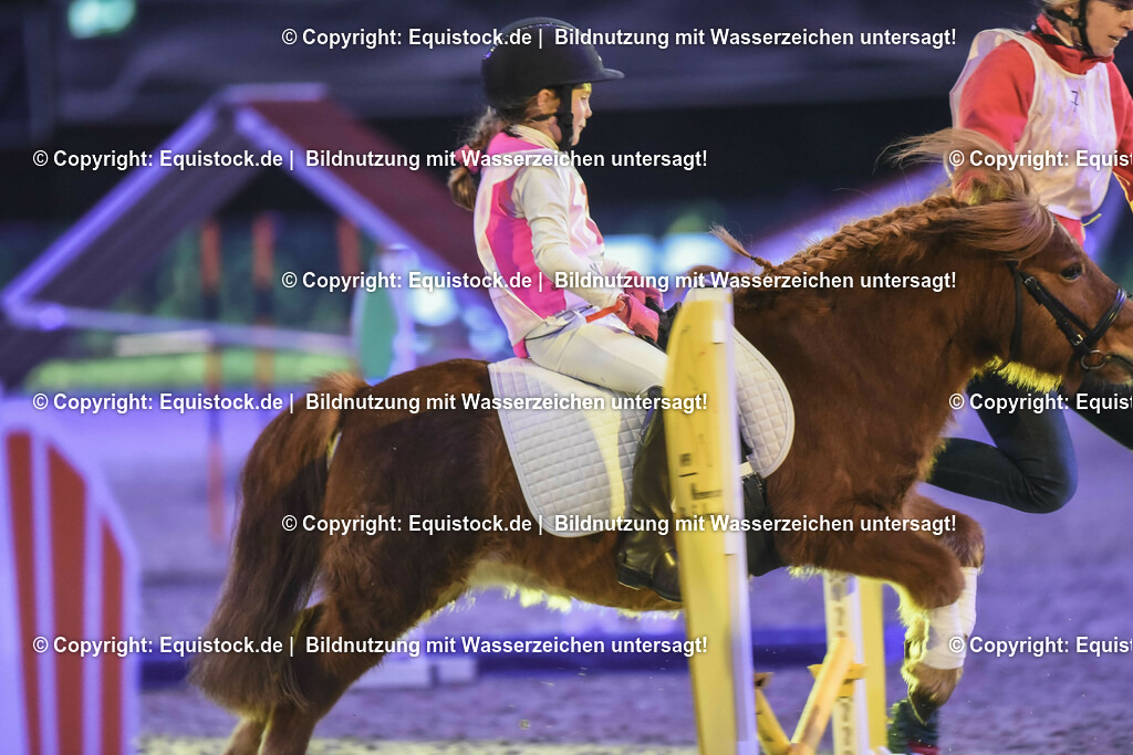 20231115_Dog-Agility_0088_TOMsPiC | Foto: Thomas Hartig