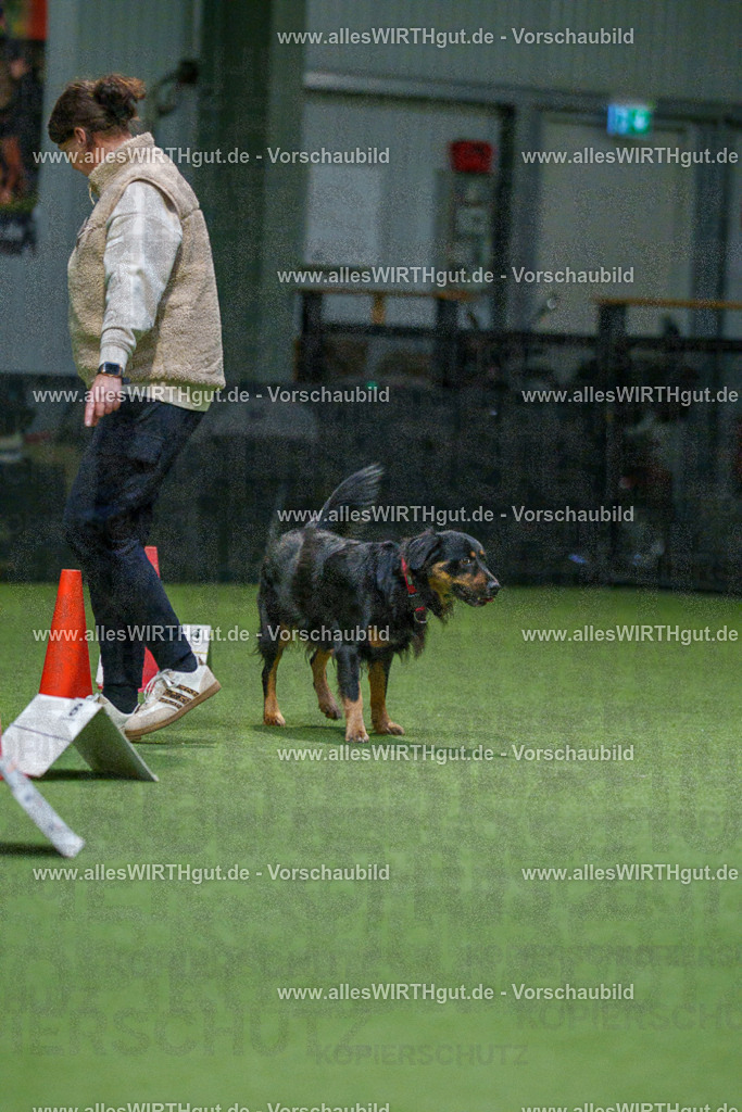 7R505444 | Professionelle Tierfotografie in Mönchengladbach von Daniel Wirth (allesWIRTHgut). Liebevolle & natürliche Bilder von Hunden & Katzen für unvergessliche Erinnerungen.