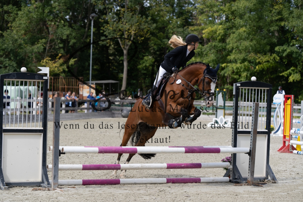 A7V07375 | Turnier/Reitfotograf