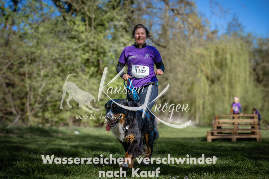 1011_ZZ94532-Bearbeitet-2 | kk-dogfotos