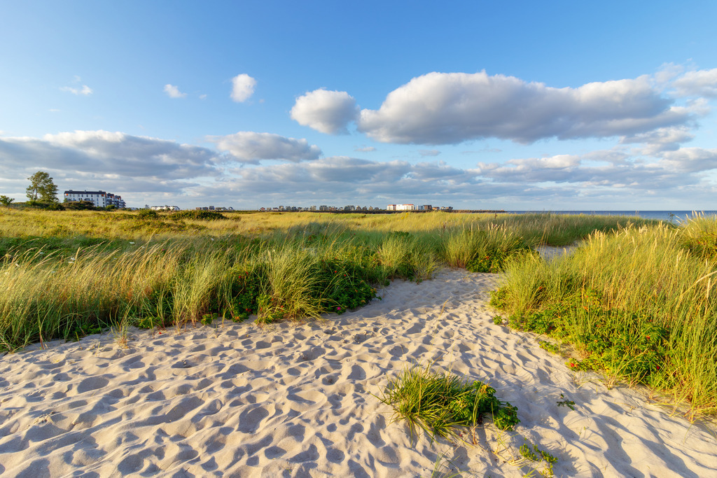 Wandbild: Weite am Meer – Strandhafer im Licht | Dieses Wandbild zeigt Strandhafer, der sich im leichten Küstenwind über einem sandigen Pfad zum Meer wiegt. Das warme Licht verleiht den Halmen goldene Akzente, während der helle Sand und der klare Himmel eine freundliche, weite Atmosphäre schaffen. Im Hintergrund öffnet sich der Blick auf die Ostsee und einige Gebäude am Horizont, die dezent die Nähe eines Küstenortes andeuten. Die Komposition wirkt natürlich, ruhig und einladend – ein Moment, der die typische Gelassenheit norddeutscher Strandlandschaften einfängt. - Realisiert mit Pictrs.com
