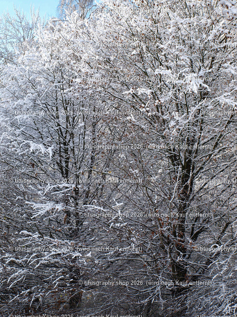 phototitusgraphy Winterimpressionen-Edition 001 | Fotokunstarbeit aus der INSTAGRAM-Gallerie auf titusgraphy.eu - Realisiert mit Pictrs.com