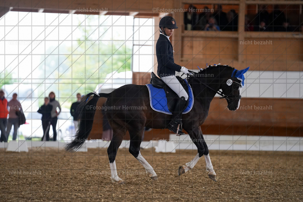 20240825-FAH09479 | Turnierbilder, Reitsportfotos, LAPO, Landesponyturnier, Turnierfotografen Bayern