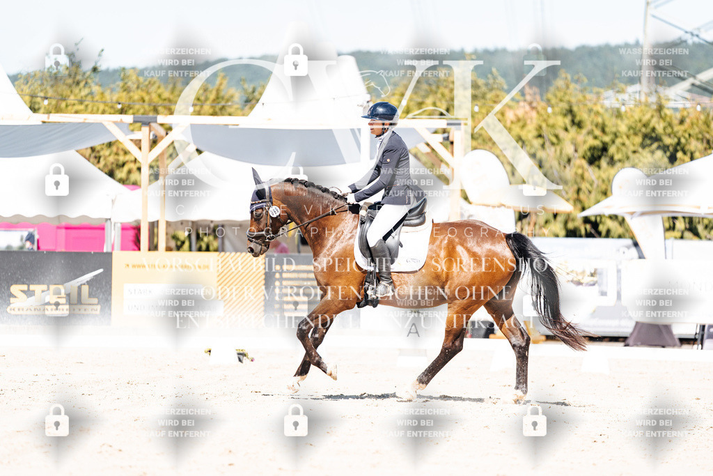 CK909318 | Turnierfotografie Pferdefotografie Trier Rheinland-Pfalz Pferdesport Reitsport Tierfotografie Sportfotografie Pferdevideo Pferdevideografie Equestrianvideography equestrianphotography  - Realisiert mit Pictrs.com