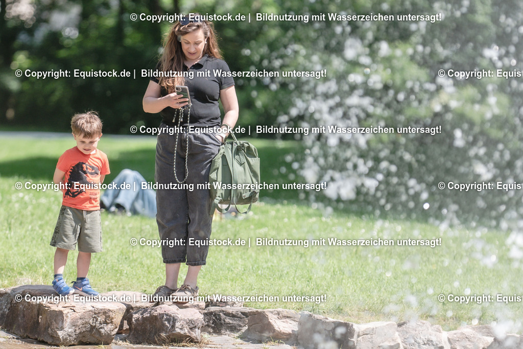 DSC_0201 | equistock