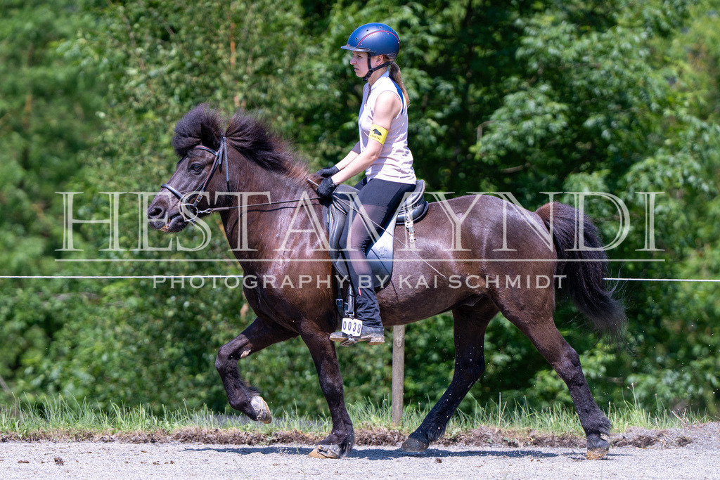 KAI04493 | Ihr sucht einen Fotografen für eure nächste OSI? Ich begleite auch euer Turnier für Islandpferde fotografisch.  - Realisiert mit Pictrs.com