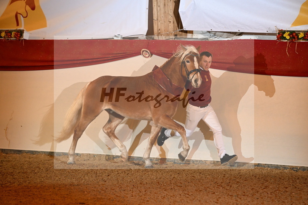 Stavaro_3262763 | hf-fotografie - Realisiert mit Pictrs.com