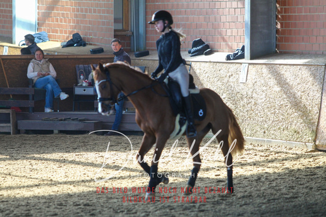 DKP42178 | Turniersportfotografie; Pferdefotografie; Dressurfotografie