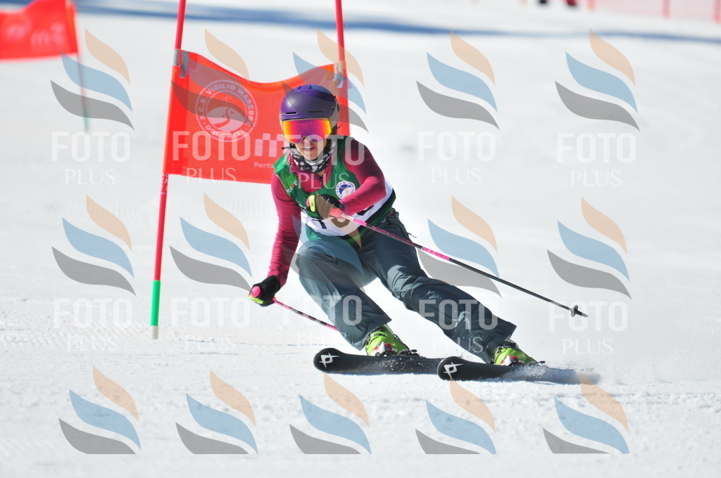 C4120 | holidayphoto