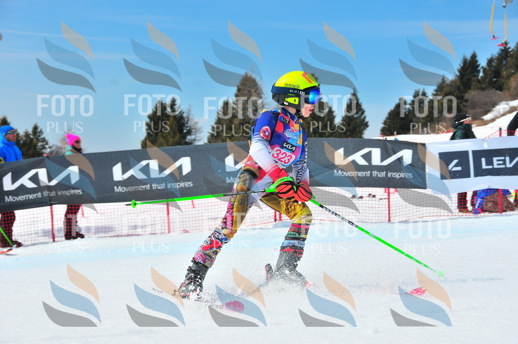 DSC_6739 | holidayphoto