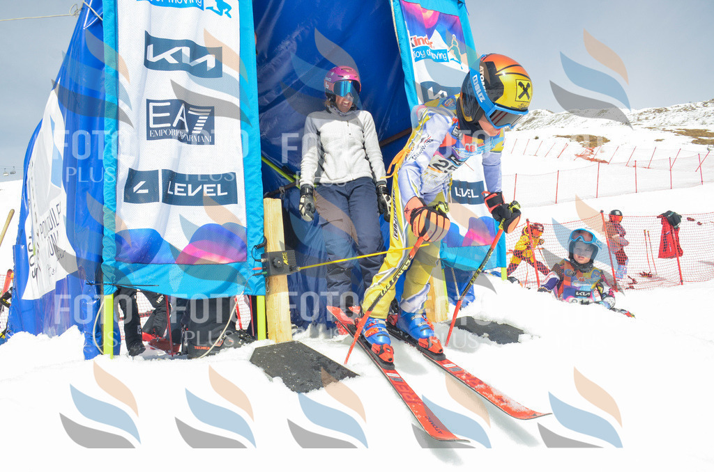 _ELE7617 | holidayphoto