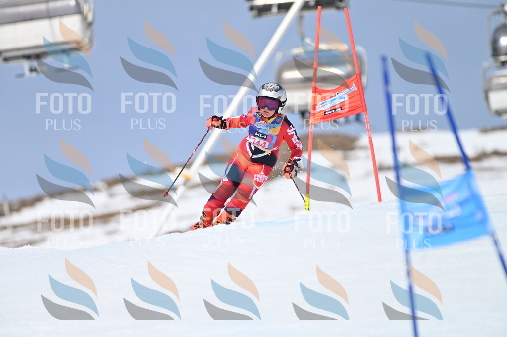 BGV_3509 | holidayphoto