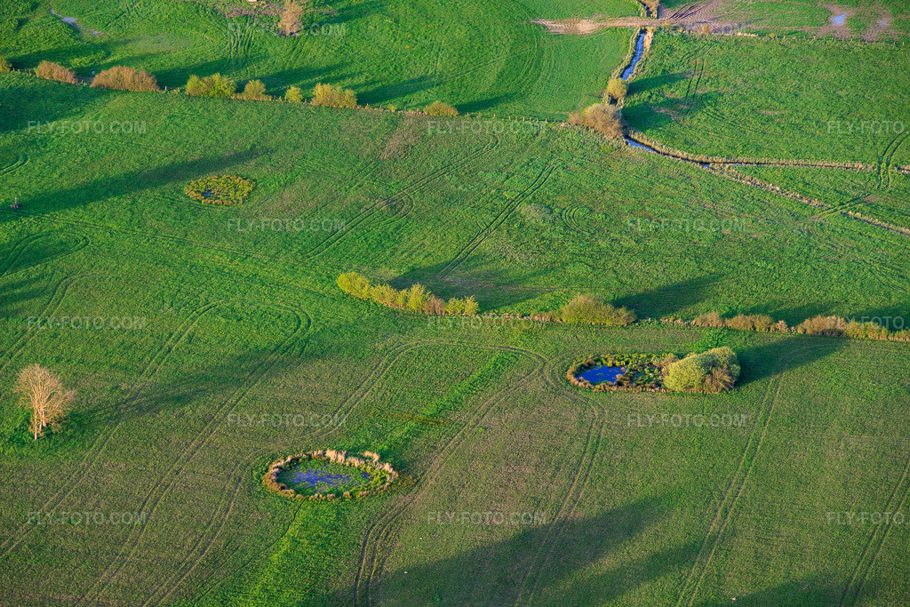 Aerial view: Circular waterholes in meadows in Grostenquin in the state Moselle, France. – Photo: IMG_154764.jpg taken on 04/17/2026 by Werner Riehm/FLY-FOTO.com – Resolution of the original: 6000 x 4000 px