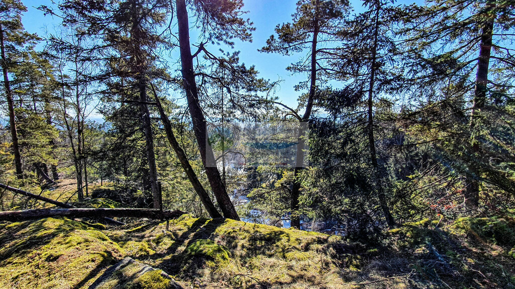 Epprechtstein im Sommer | Impressionen rund um Hochfranken - Frankenwald - Fichtelgebirge - Realisiert mit Pictrs.com