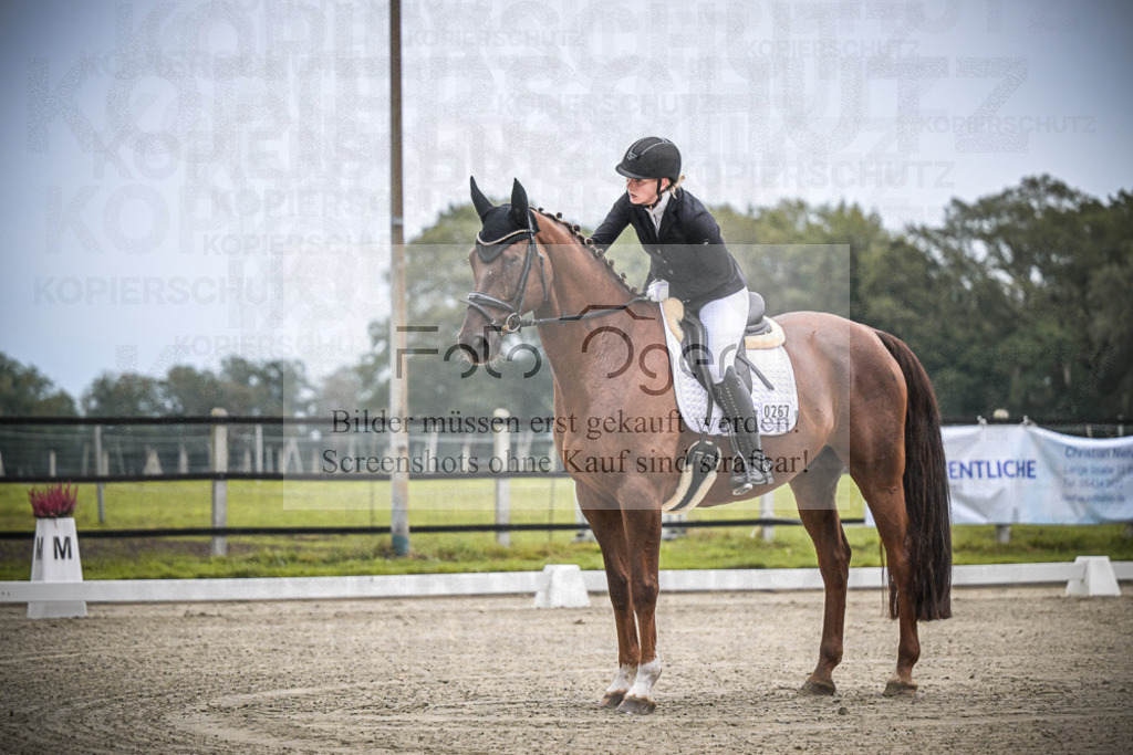 DOS_0241 | Entdecke hochwertige Reitturnierfotos von Foto Oger. Professionell, emotional und authentisch – jetzt Lieblingsmomente im Shop bestellen.Deutschlandweite Turnierfotografie. - Realisiert mit Pictrs.com