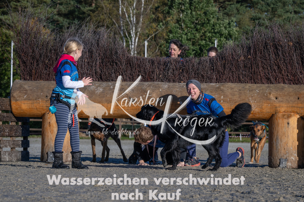1021-_ZZ90846 | kk-dogfotos