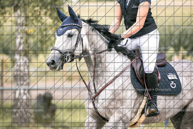 _W6A2231 | ronjaprokoschfotografie - Realisiert mit Pictrs.com