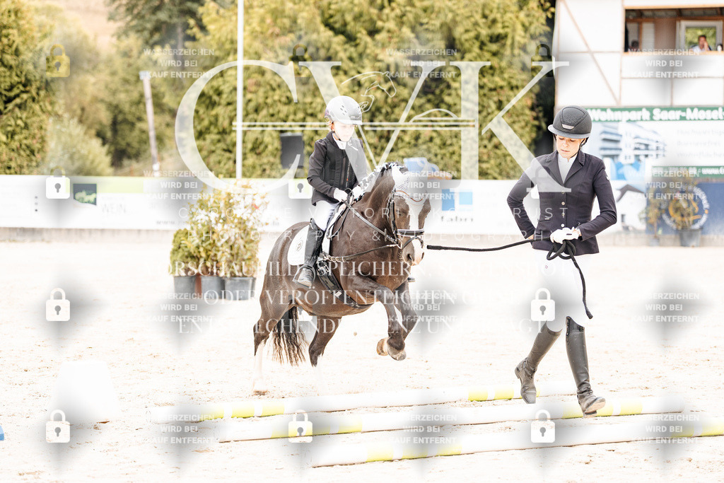 CK907408 | Turnierfotografie Pferdefotografie Trier Rheinland-Pfalz Pferdesport Reitsport Tierfotografie Sportfotografie Pferdevideo Pferdevideografie Equestrianvideography equestrianphotography  - Realisiert mit Pictrs.com