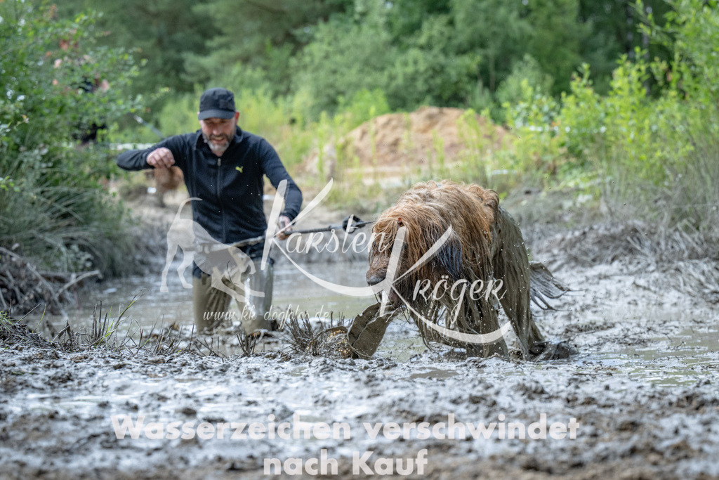 1015_ZZ91300 | kk-dogfotos