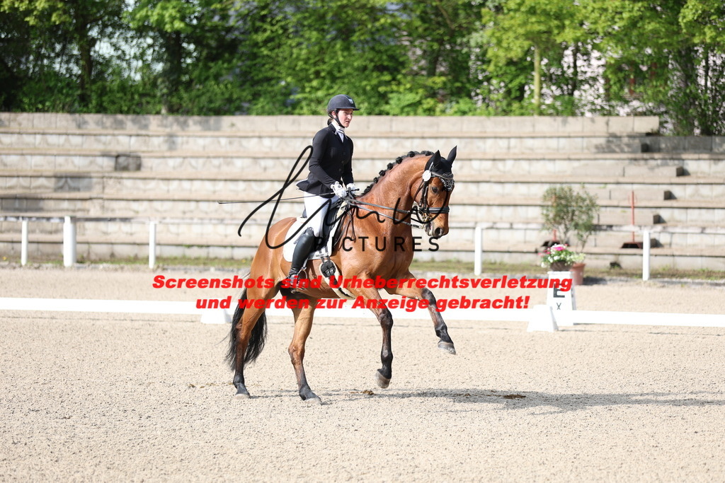 A40A3501 | lmwpictures - Realisiert mit Pictrs.com