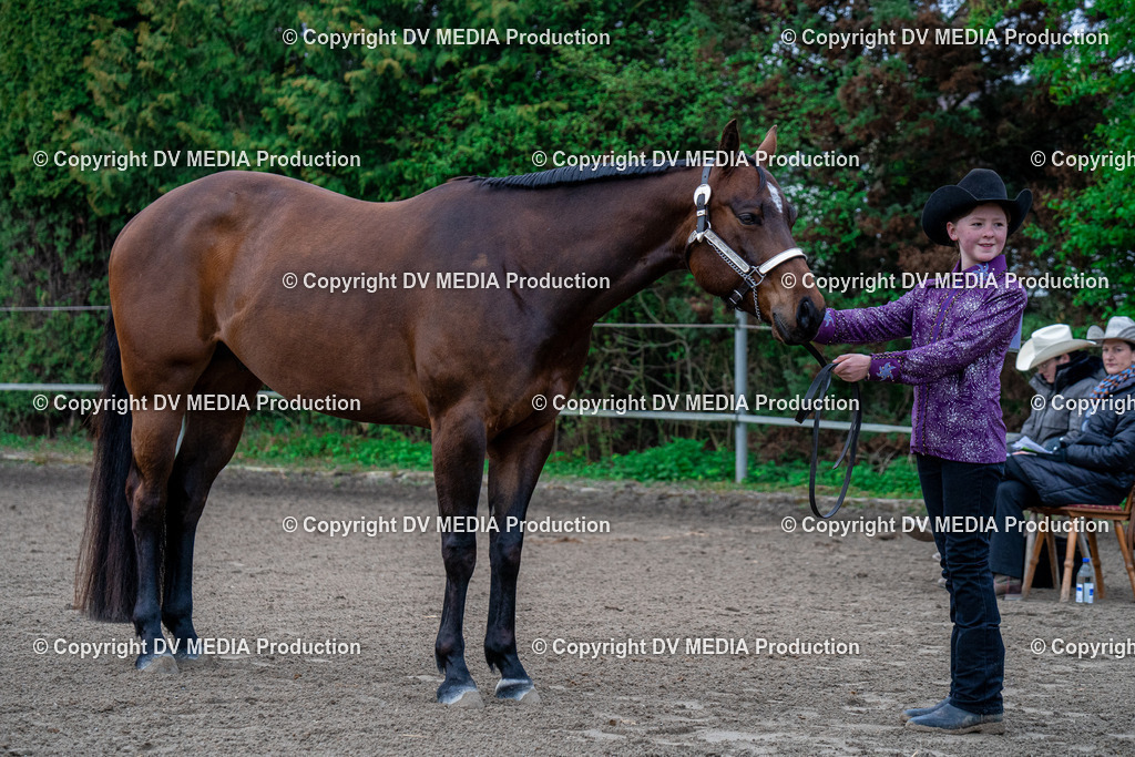 BA300025 | dv-media-shop - Realisiert mit Pictrs.com