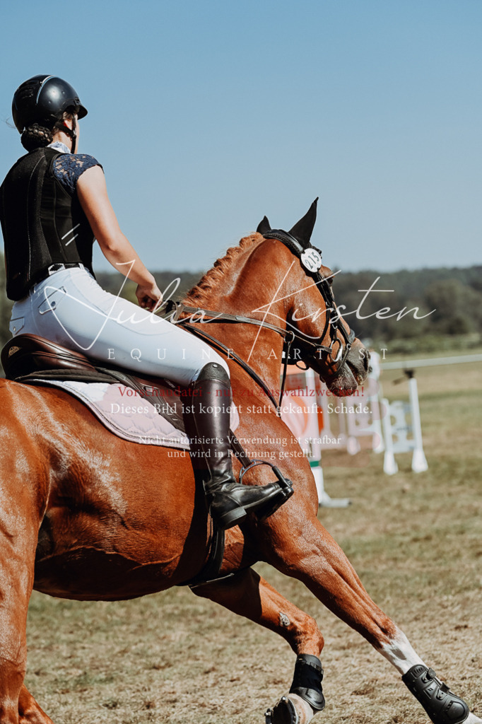 DSC_9699 | Pferde- und Turnierfotografie in Westsachsen. Pferdeportraits, Auftragszeichnungen und intuitive Kunst.