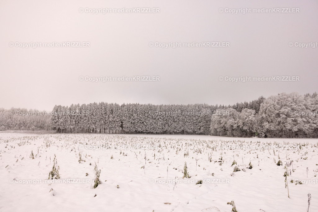 _J3A9620 | medienkrizzler - Realisiert mit Pictrs.com