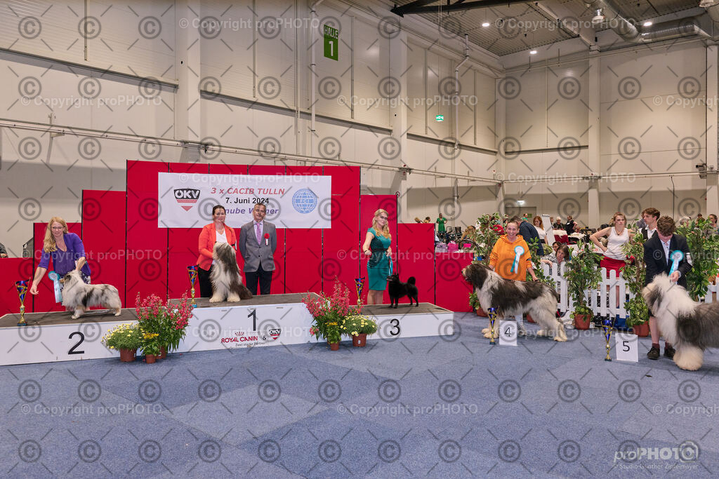 202406_ÖKV-IHA-Tulln24_NZ9_7807 | proPHOTO - Realisiert mit Pictrs.com