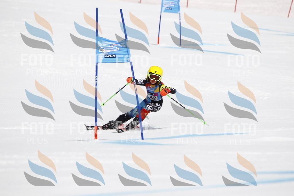 _U3G4778 | holidayphoto